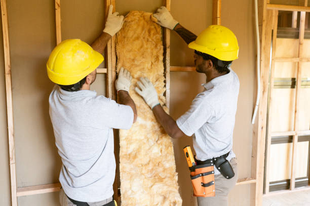 Best Residential Insulation Services  in Aiken, SC